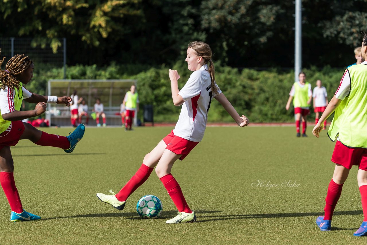 Bild 142 - wCJ Walddoerfer - Concordia : Ergebnis: 0:1